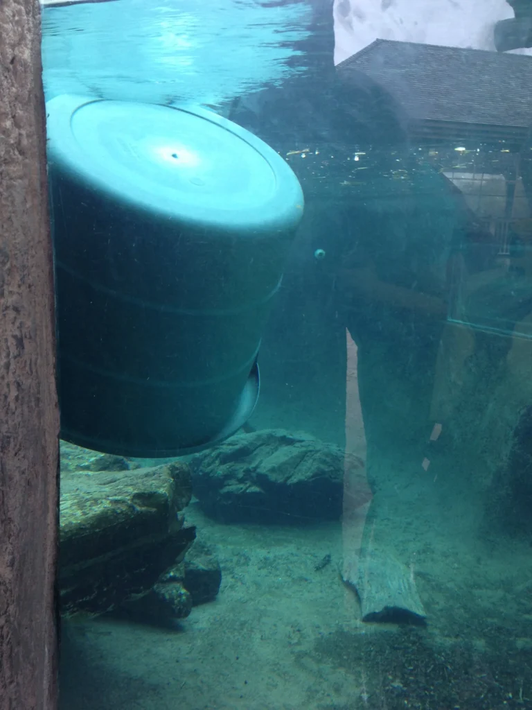 A Meaningful Life with Bucket I-VIII